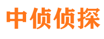 黄岛外遇取证